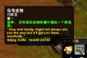 8.JPG
